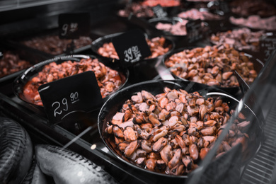 Photo of Different seafood on display, closeup. Wholesale market