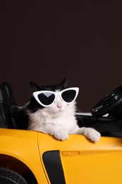 Photo of Funny cat with sunglasses in toy car against brown background