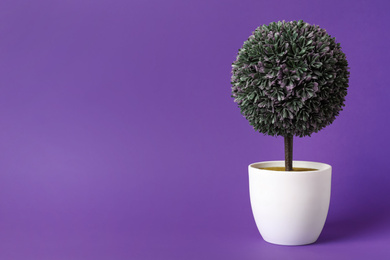 Photo of Beautiful artificial plant in flower pot on purple background, space for text