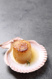 Photo of Delicious fried scallop in shell on grey table, closeup