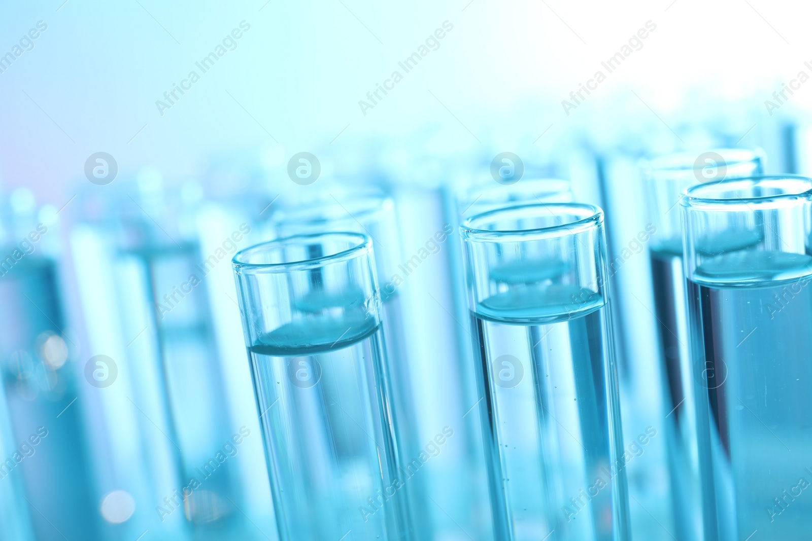 Photo of Many glass test tubes on light blue background, closeup