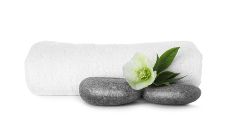 Photo of Towel, fresh flower and spa stones isolated on white