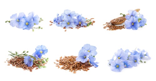 Set with flax seeds and flowers on white background. Banner design