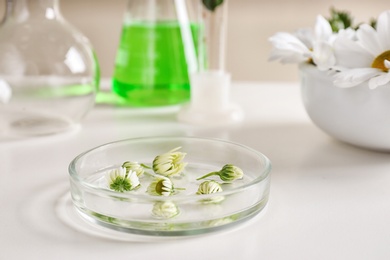 Petri dish with flowers on table. Dermatology research