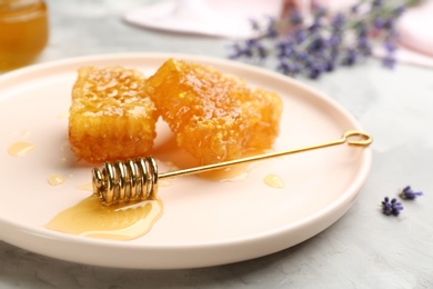 Photo of Honey combs and metal dipper on light grey table