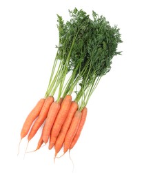 Photo of Many tasty ripe carrots on white background, top view