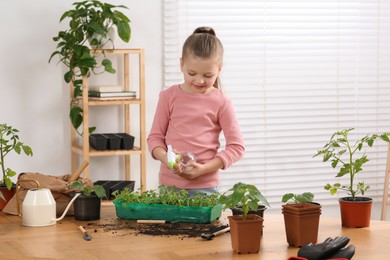 Cute little girl spraying seedlings in plastic container at wooden table in room