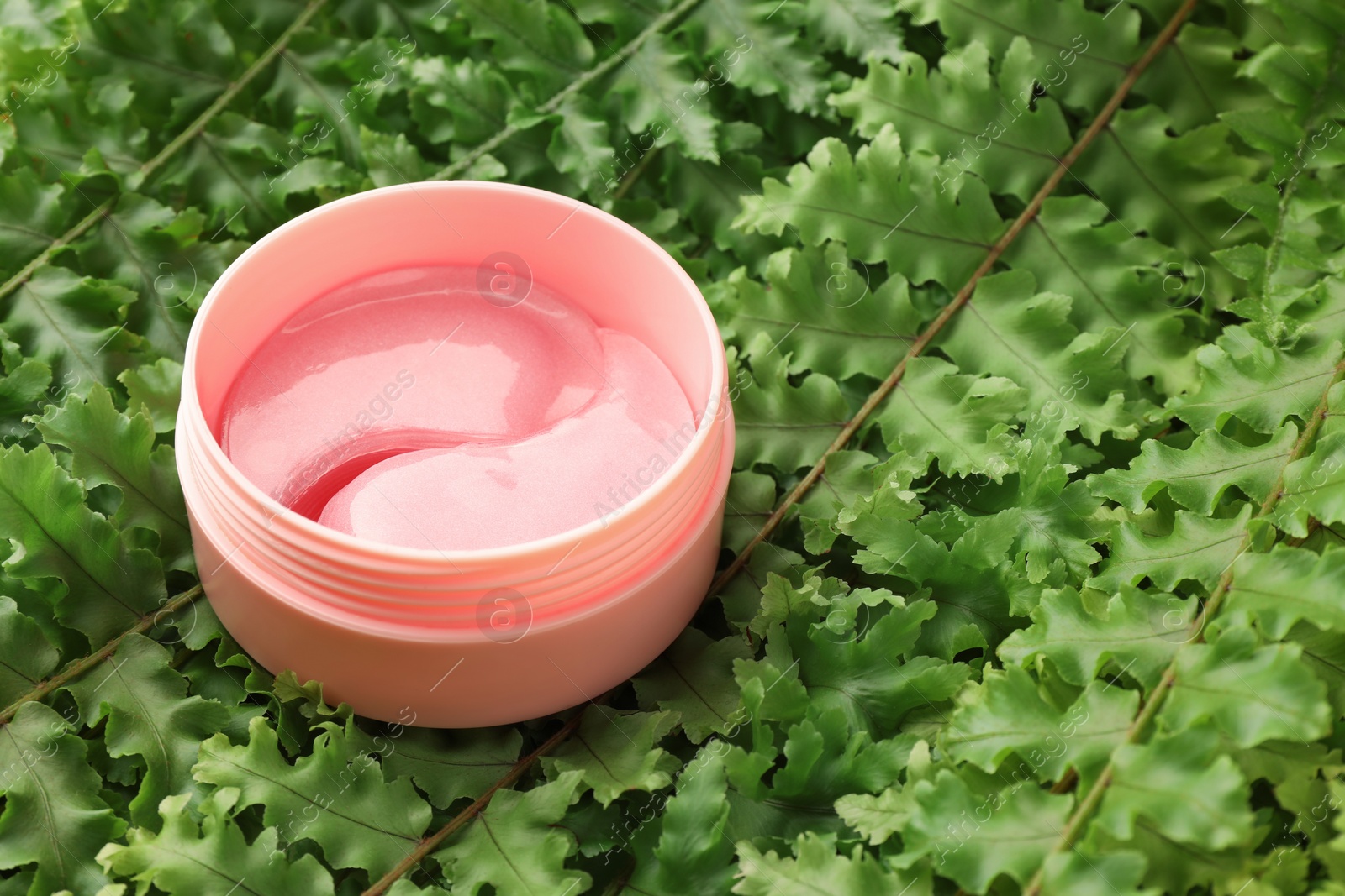 Photo of Jar of under eye patches on green fern leaves, space for text. Cosmetic product