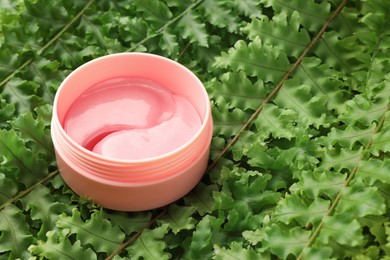 Photo of Jar of under eye patches on green fern leaves, space for text. Cosmetic product
