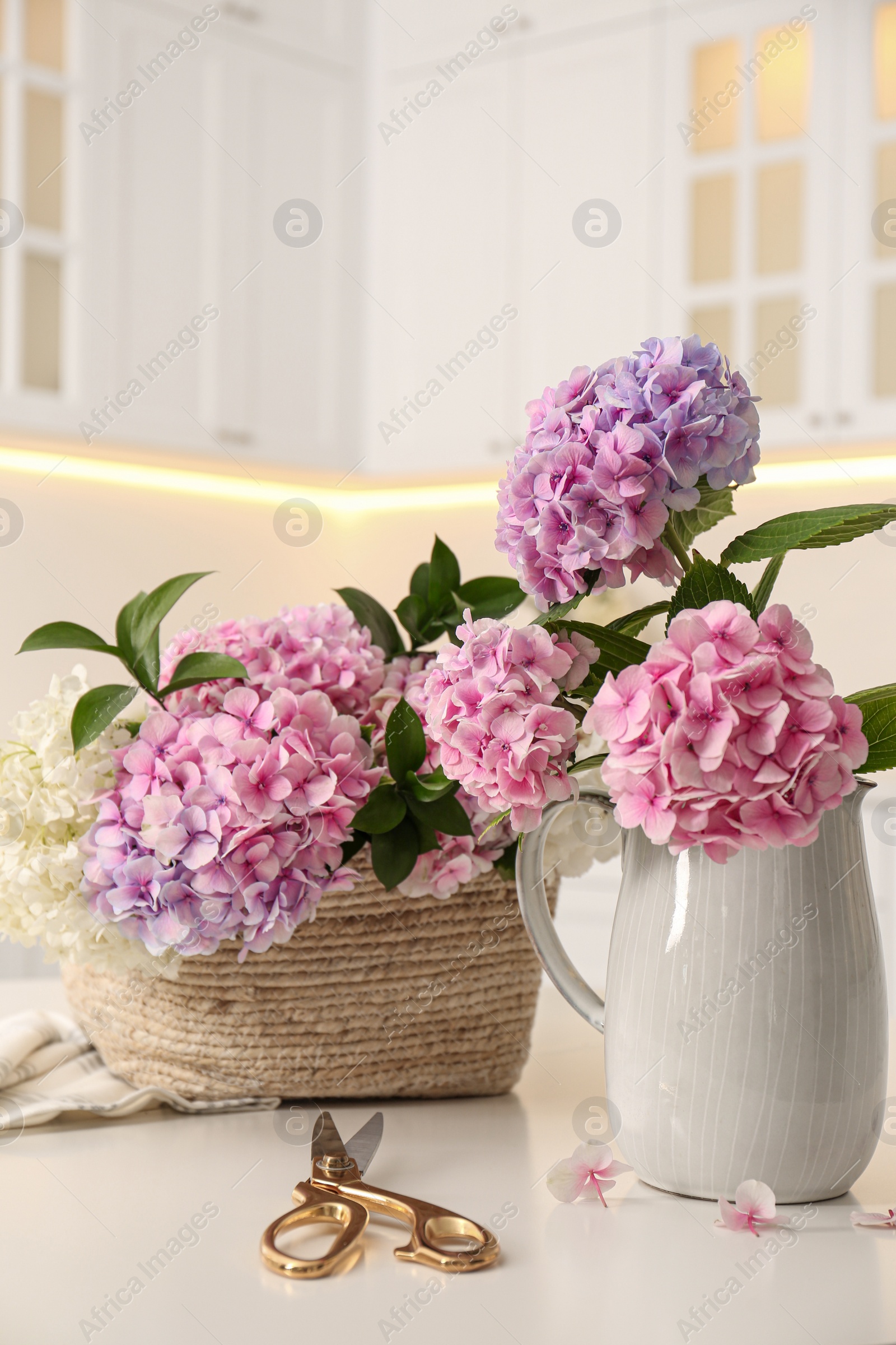 Photo of Beautiful hydrangea flowers and scissors on white table. Interior design