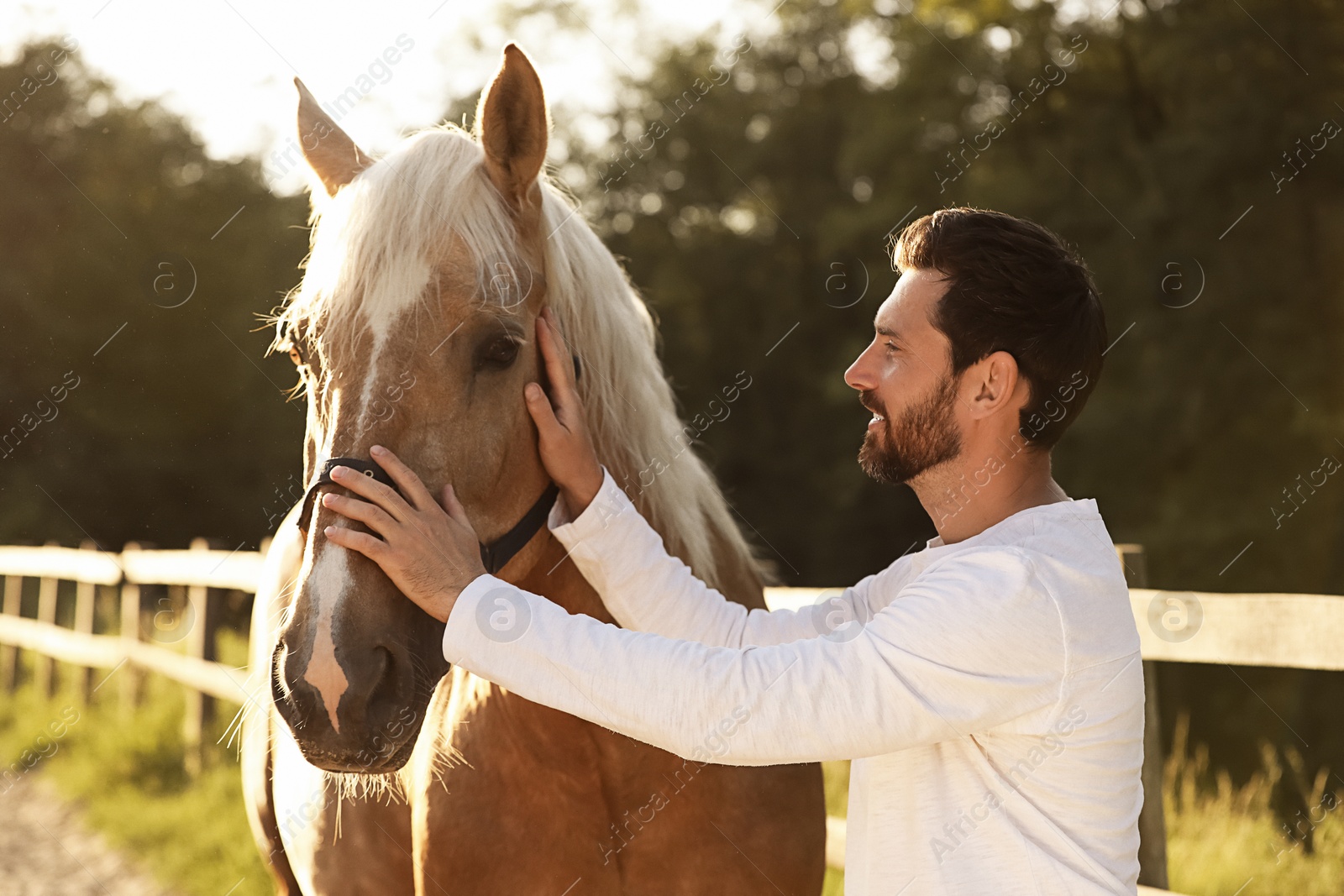 Photo of Handsome man with adorable horse outdoors. Lovely domesticated pet