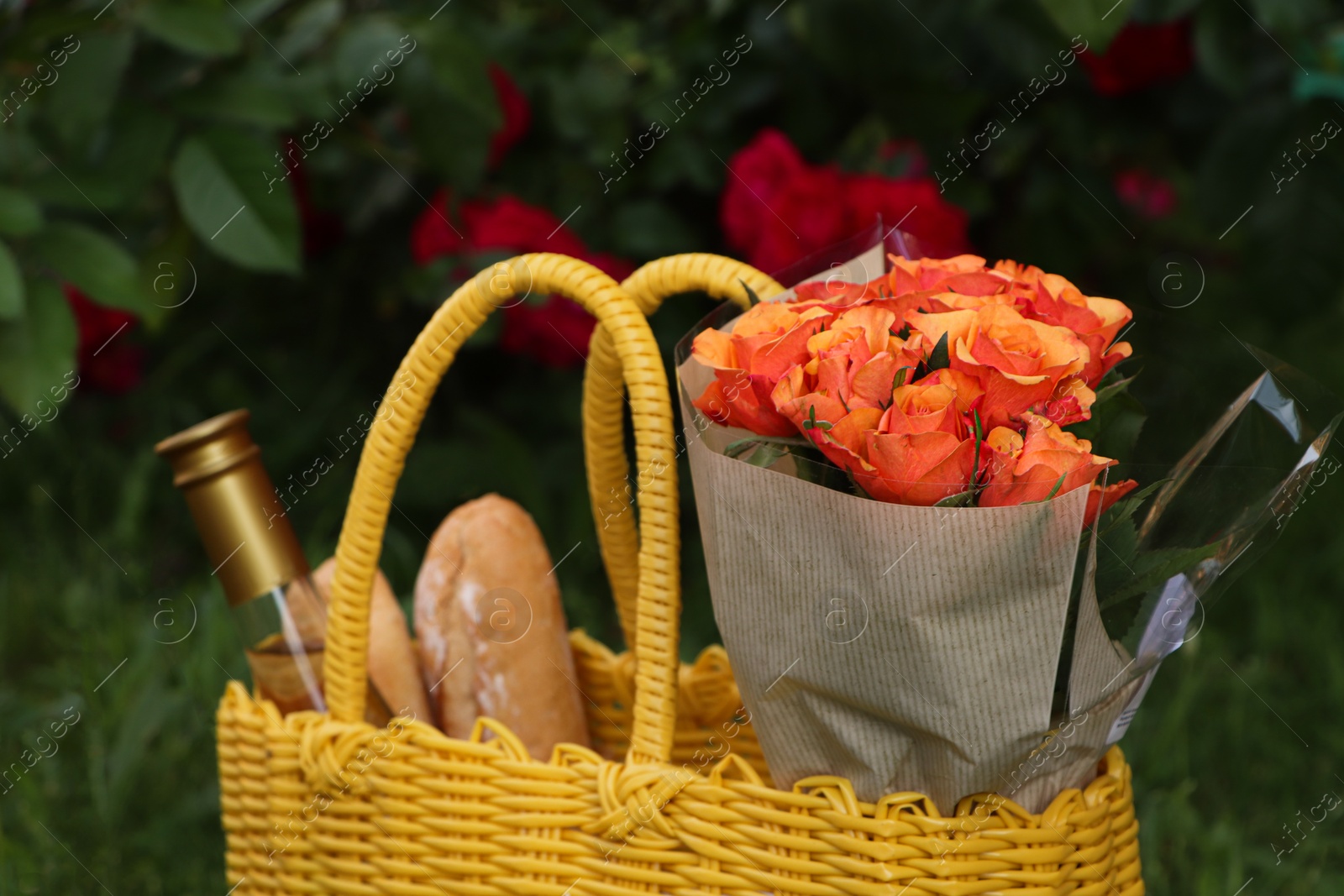 Photo of Yellow wicker bag with beautiful roses, bottle of wine and baguettes on green grass outdoors, closeup