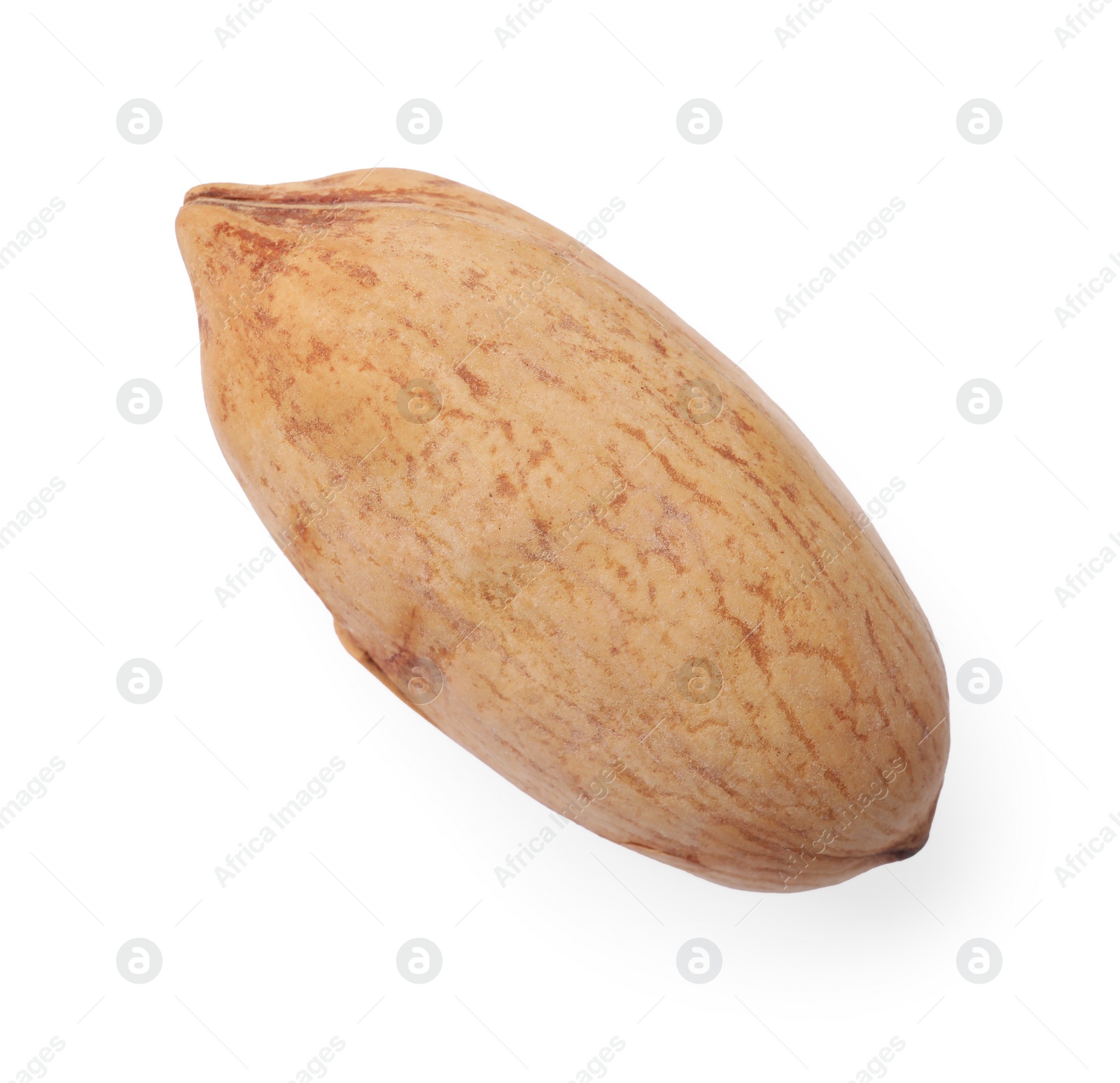 Photo of Tasty pecan nut in shell isolated on white, top view