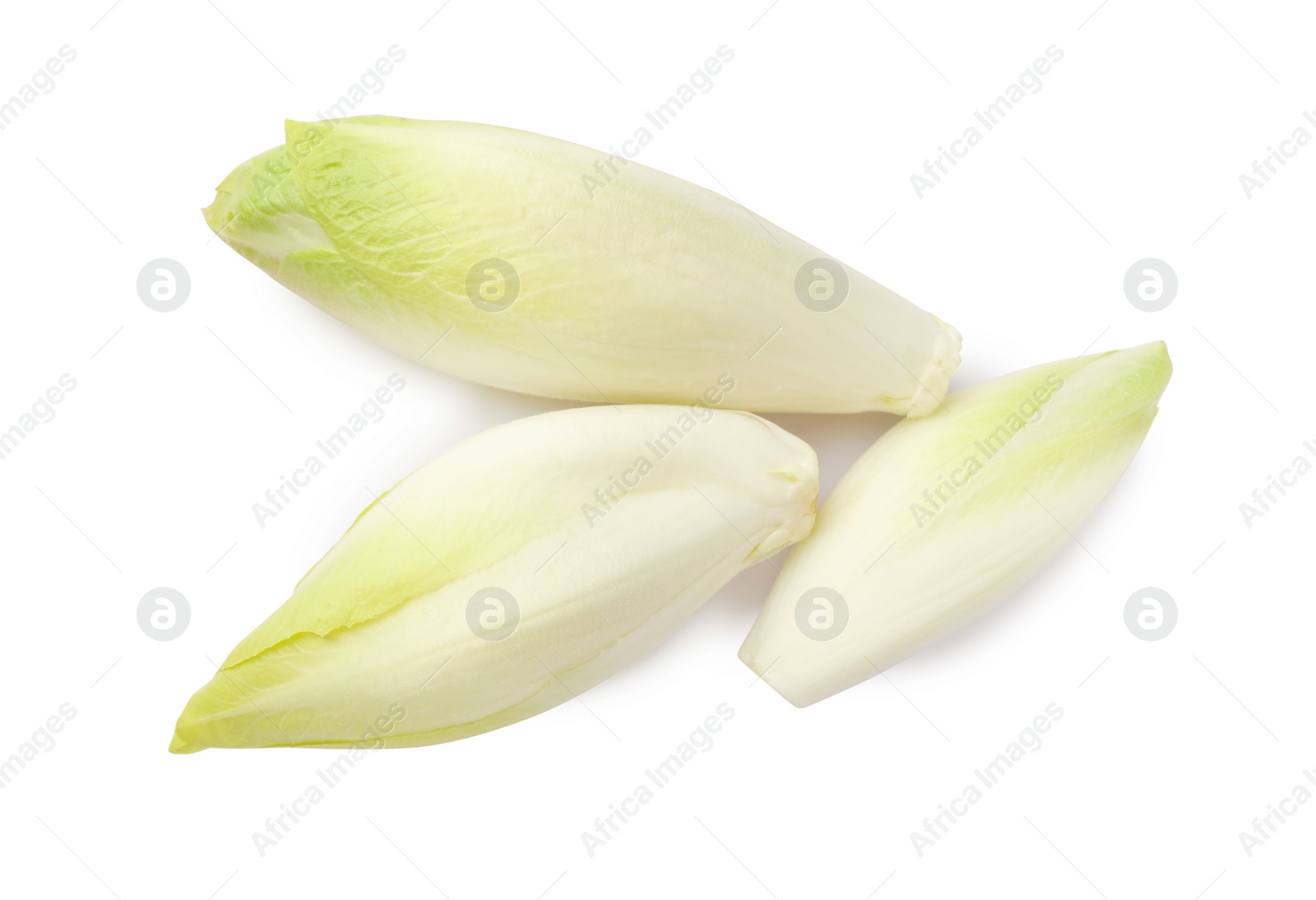 Photo of Raw ripe chicories on white background, top view