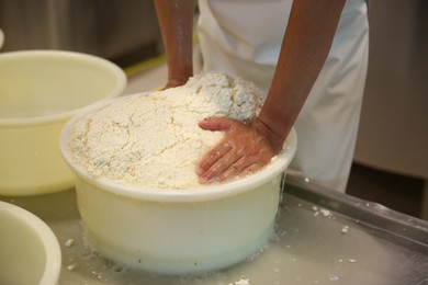 Worker pressing curd into mould at cheese factory, closeup
