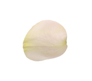 Photo of Beautiful fresh rose petal isolated on white