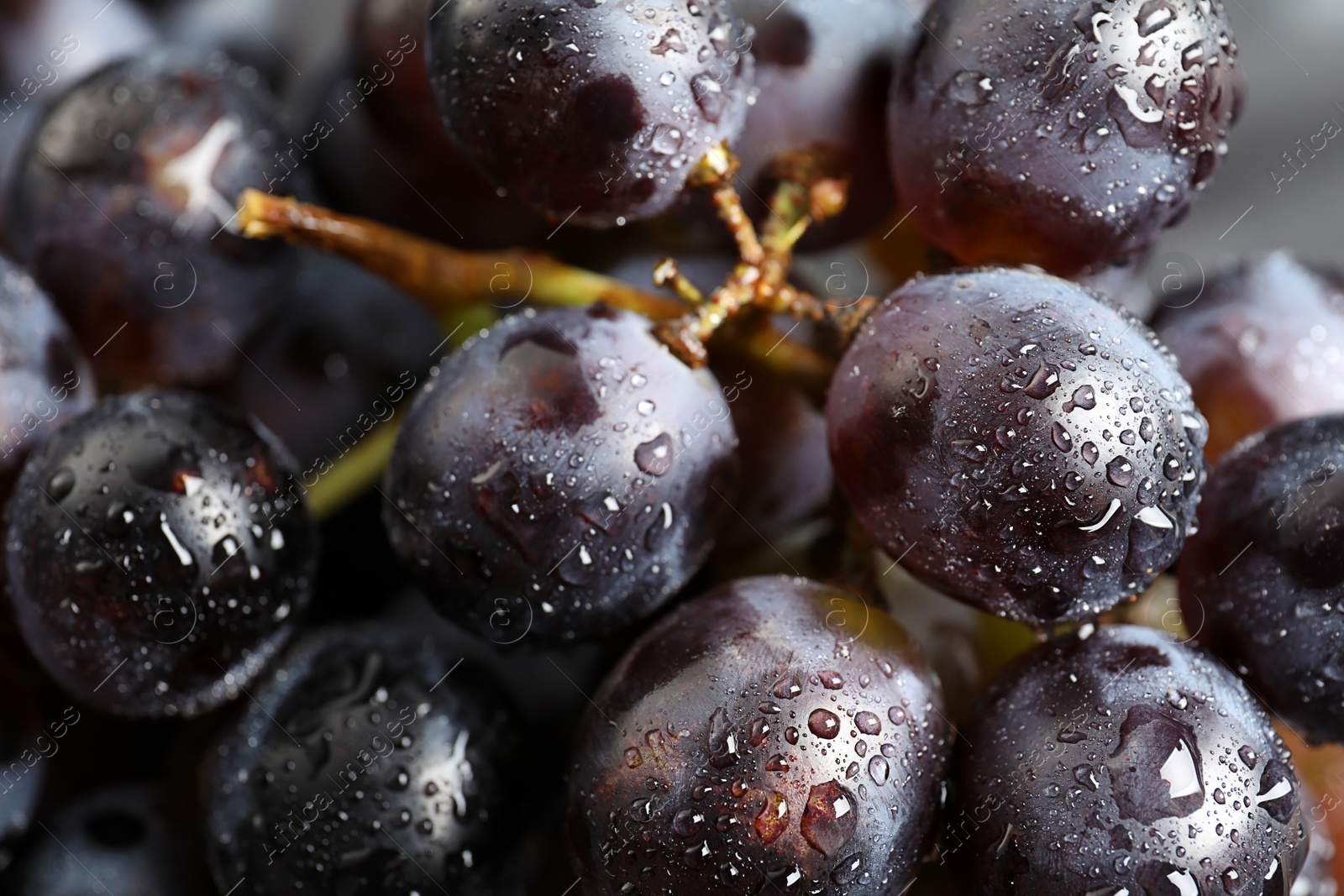 Photo of Bunch of fresh ripe juicy grapes as background, closeup