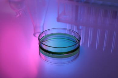 Photo of Petri dish with liquid on table, toned in pink and blue
