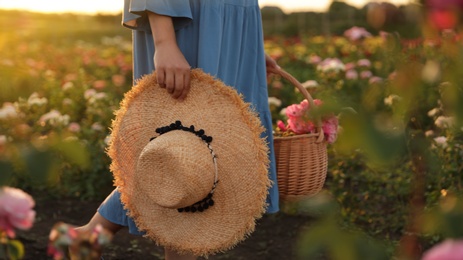 Woman with basket of roses in beautiful blooming field, closeup