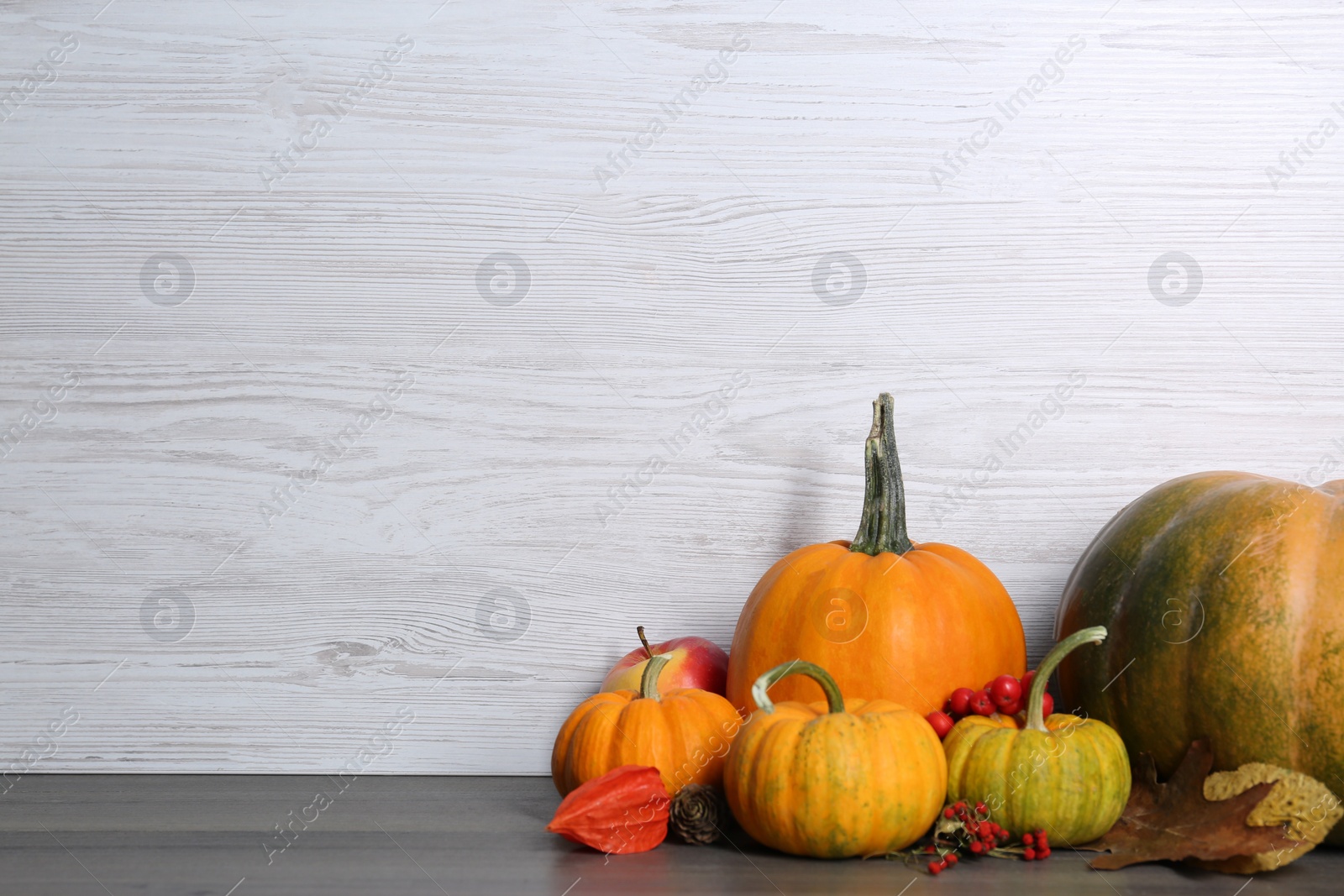 Photo of Happy Thanksgiving day. Beautiful composition with pumpkins on wooden table, space for text