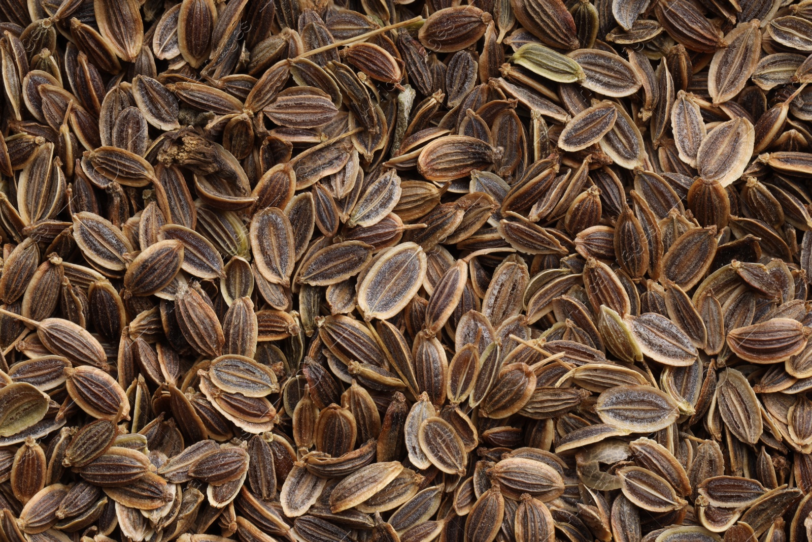 Photo of Many dry dill seeds as background, top view