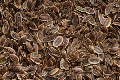 Many dry dill seeds as background, top view