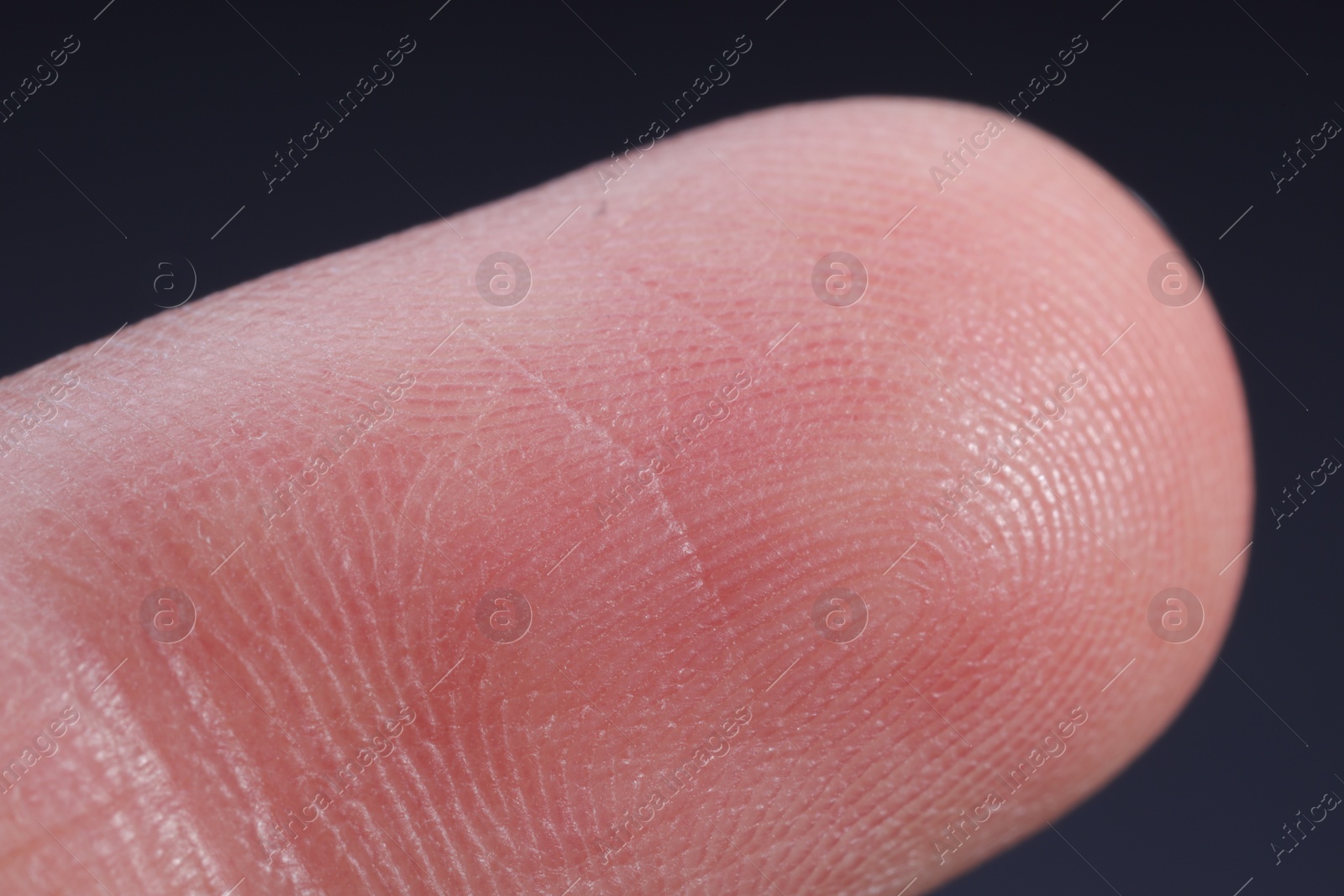 Photo of Finger with friction ridges on dark background, macro view