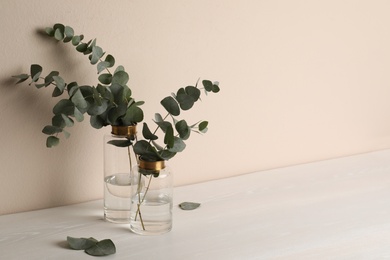 Photo of Vases with beautiful eucalyptus branches on white wooden table near beige wall. Space for text