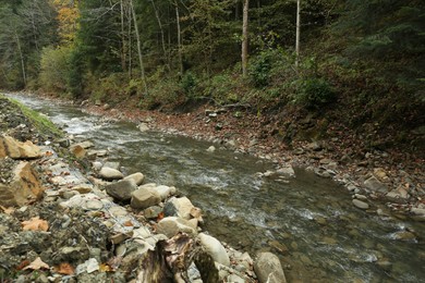 Picturesque view of beautiful river flowing near forest