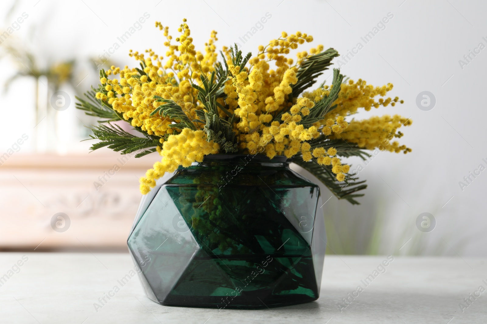 Photo of Beautiful mimosa flowers on white table indoors