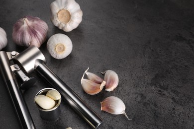 Photo of Garlic press, bulbs and cloves on grey table. Space for text