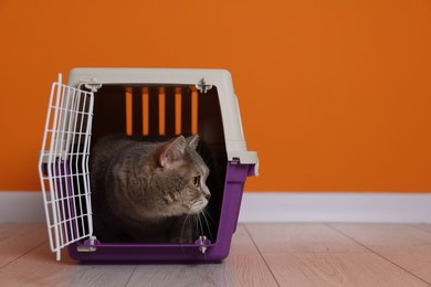 Travel with pet. Cute cat in carrier on floor near orange wall indoors, space for text