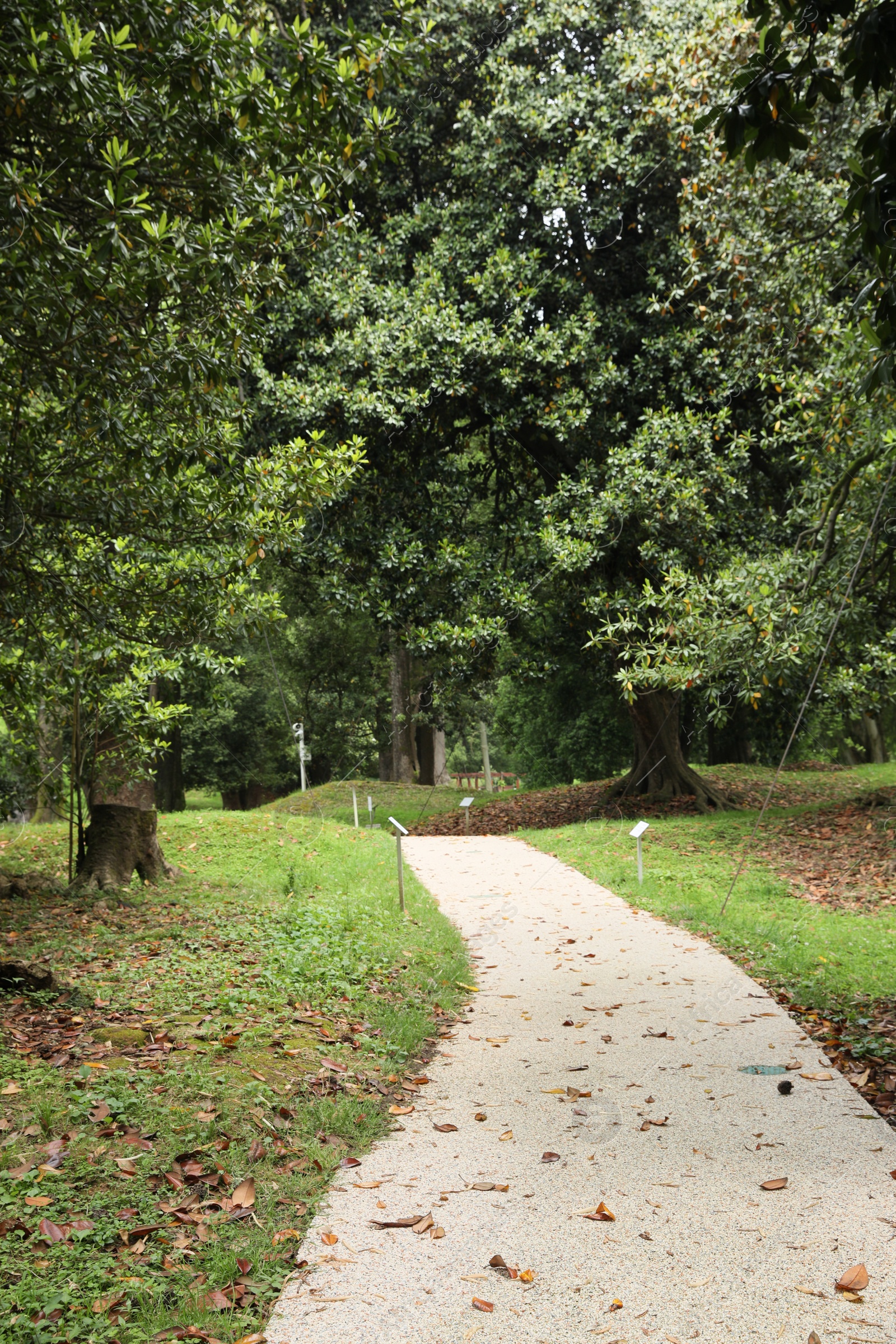 Photo of Picturesque view of tranquil park with paved pathway