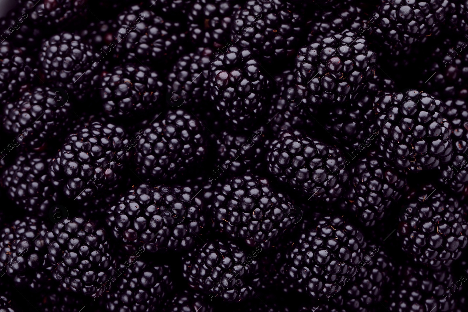 Photo of Tasty ripe fresh blackberries with as background, closeup view