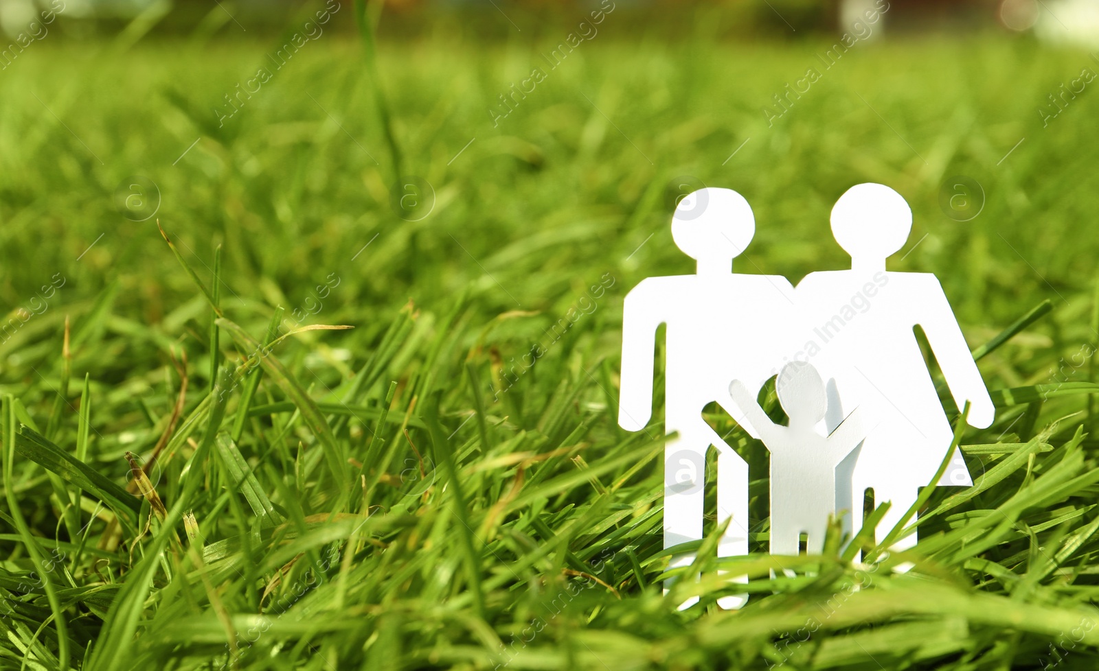 Photo of Paper silhouette of family in grass outdoors, space for text. Life insurance concept