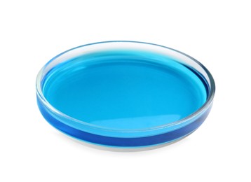 Photo of Petri dish with blue liquid sample isolated on white