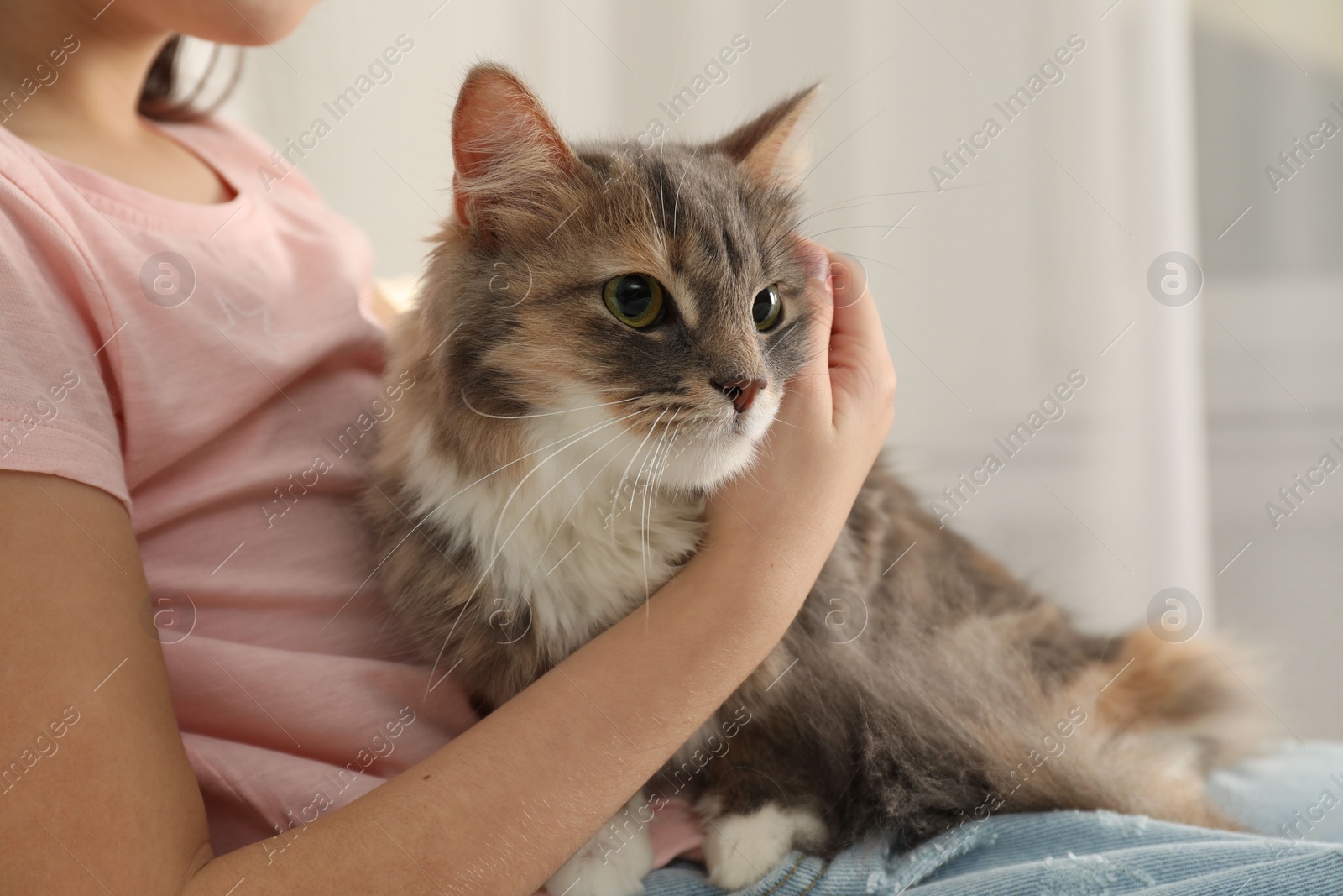 Photo of Cute little girl with cat at home, closeup. First pet