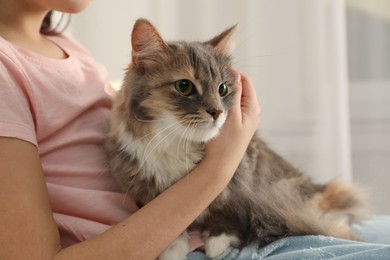 Cute little girl with cat at home, closeup. First pet