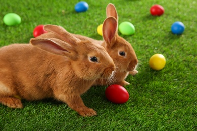 Cute bunnies and Easter eggs on green grass