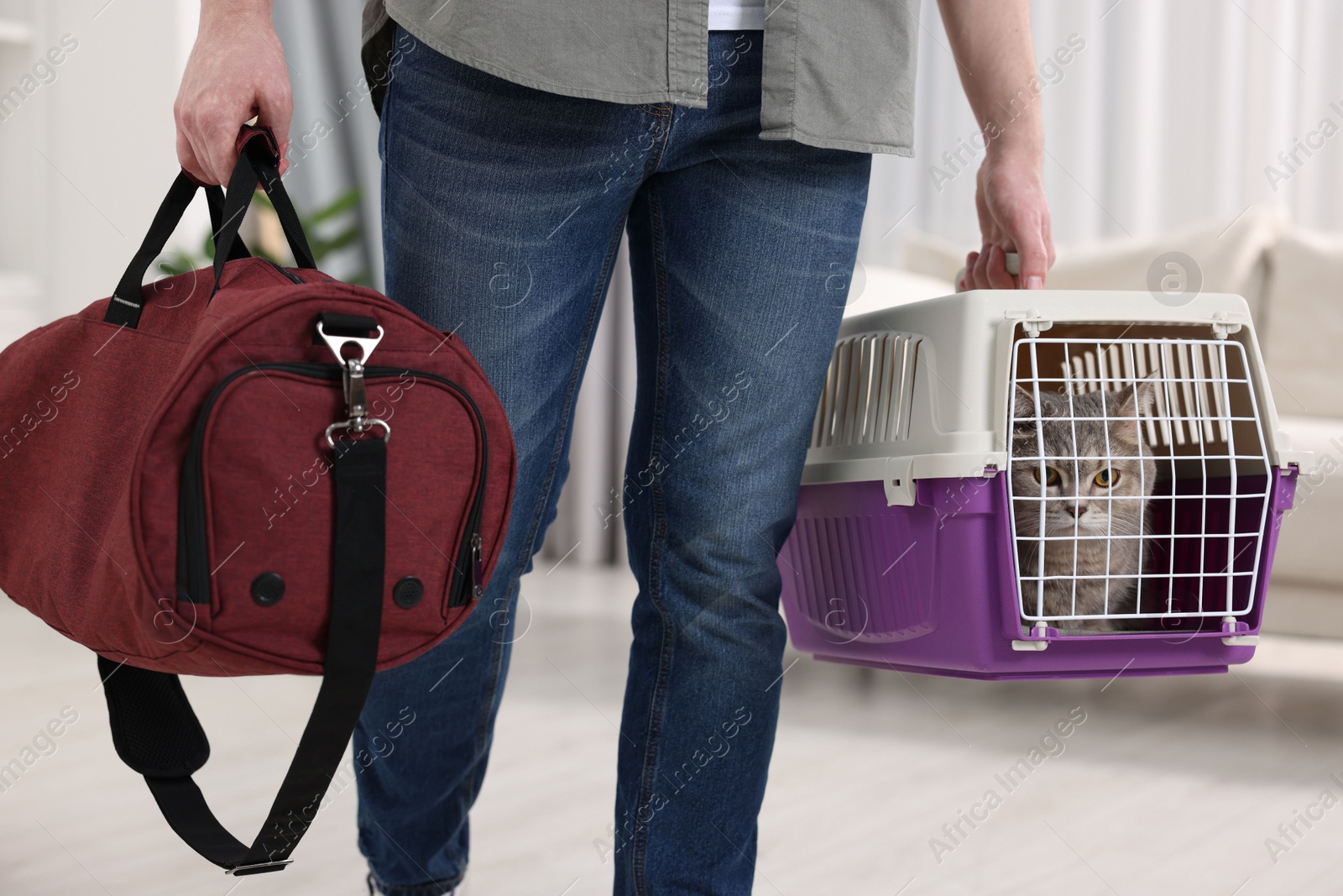 Photo of Travel with pet. Man holding carrier with cute cat and bag at home, closeup