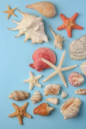 Beautiful starfishes, sea shells and stone on light blue background, flat lay