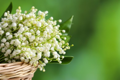 Wicker basket with beautiful lily of the valley flowers on blurred green background, closeup. Space for text