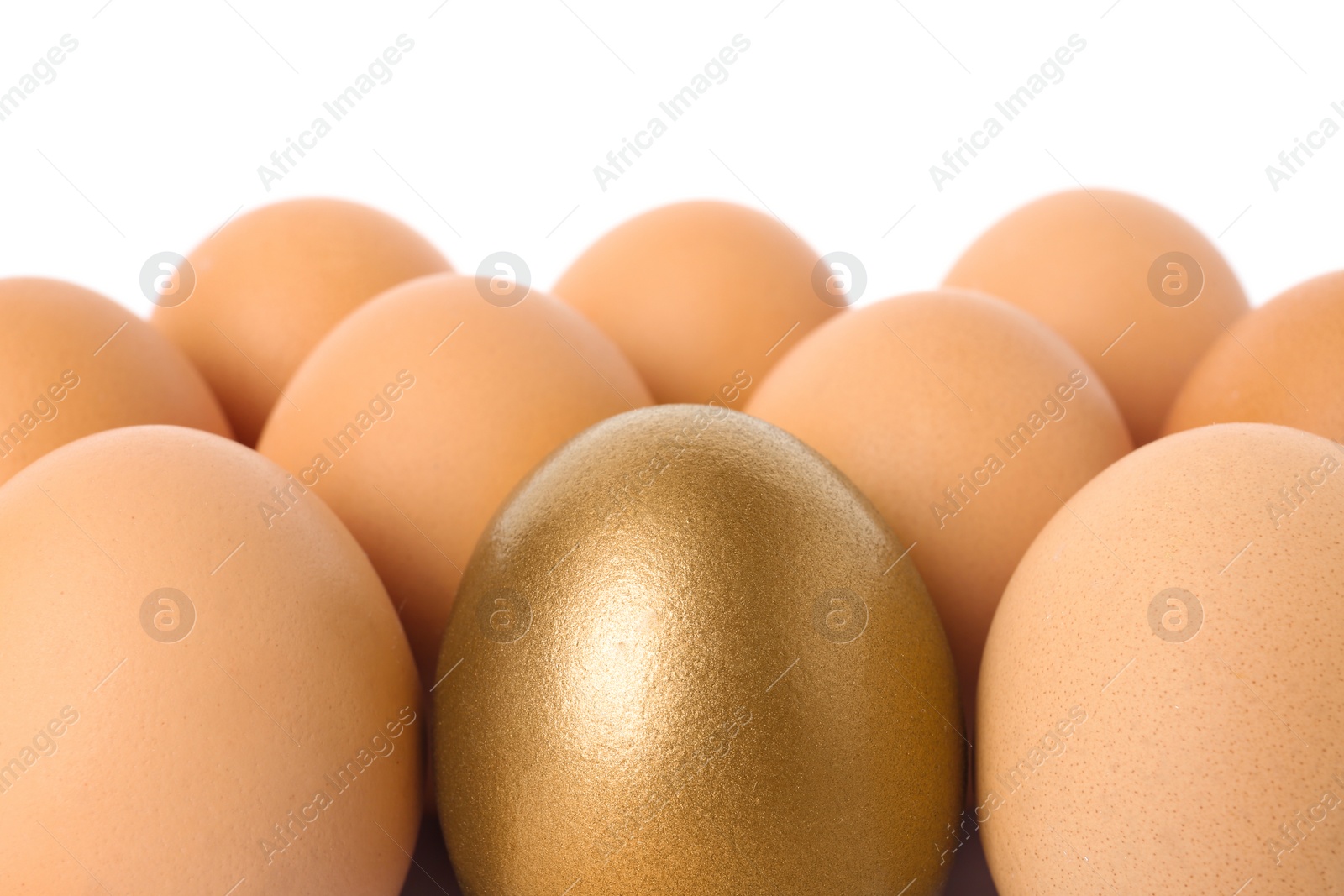 Photo of Golden egg among others on white background