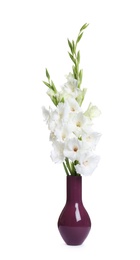 Photo of Vase with beautiful gladiolus flowers on white background