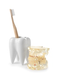 Tooth shaped holder with brush and model of oral cavity on white background