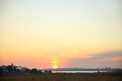 Photo of Beautiful view of field at sunrise. Early morning landscape