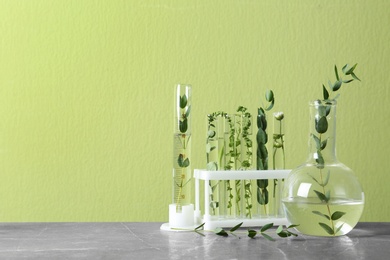 Photo of Test tubes, graduated cylinder and flask with different plants on table against green background. Space for text