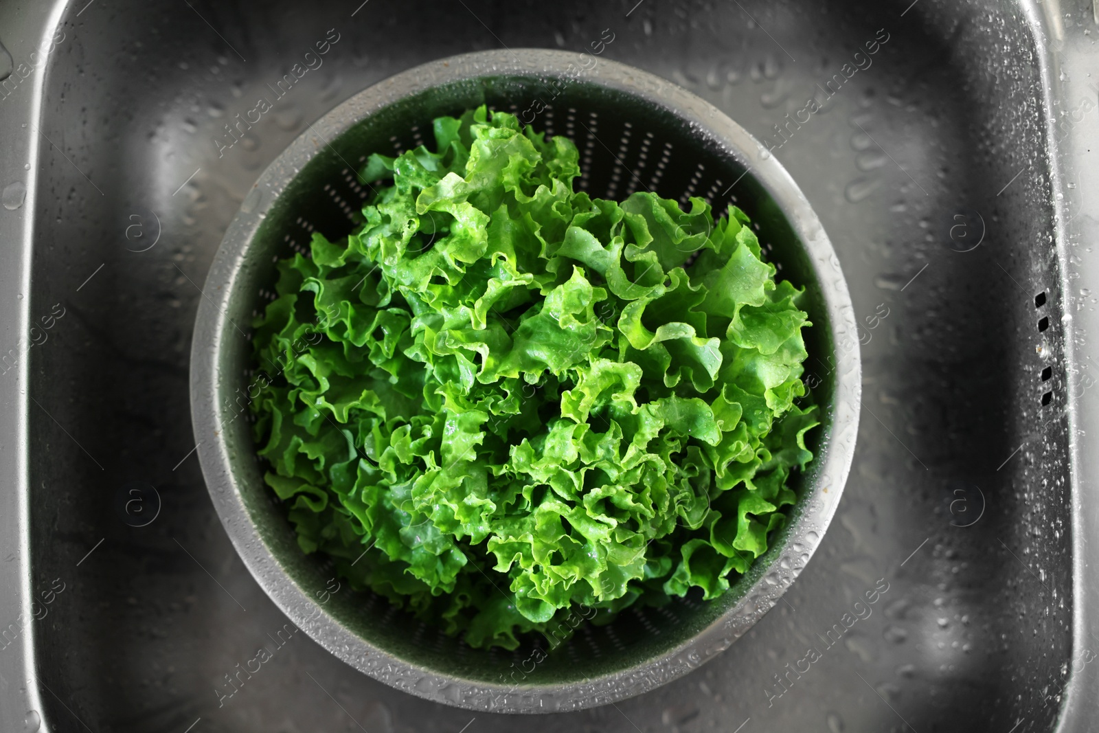 Photo of Colander with fresh wet lettuce in sink, top view