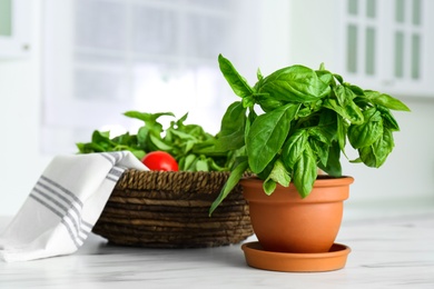Photo of Fresh green basil in pot on white marble table in kitchen