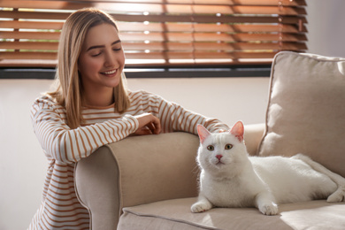 Photo of Young woman petting her beautiful white cat at home. Fluffy pet